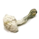 Avery Albino Magic Mushrooms