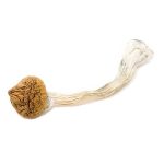 Texas Yellow Cap Magic Mushroom