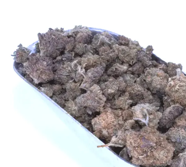 Blue Diesel