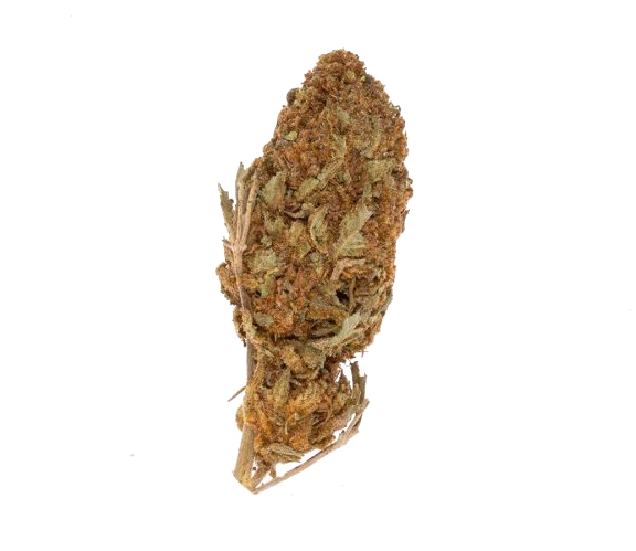 Hindu Kush