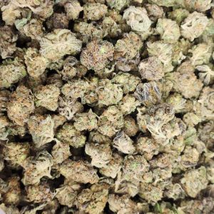 Gelato AA Popcorn