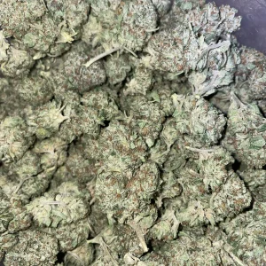 Blue Biscotti (AA+)
