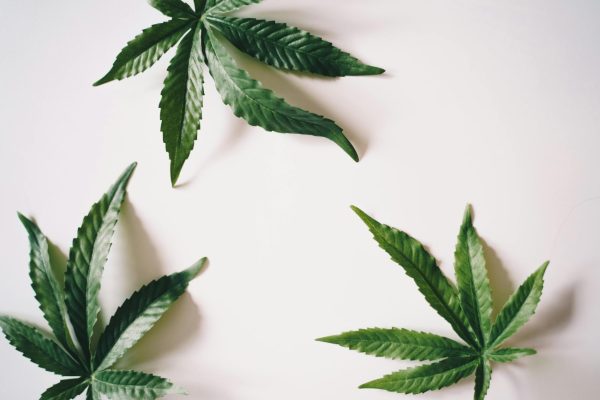 How to sober up on weed